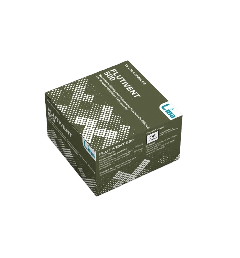 Flutivent 500 manufacturerd by Lina